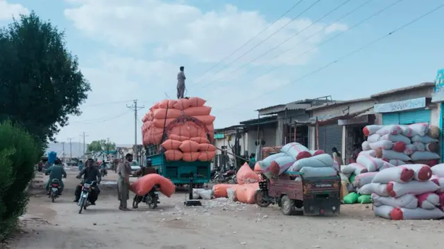 وڈھ