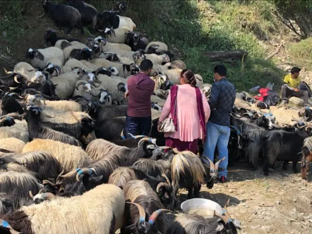 च्याङ्ग्रा