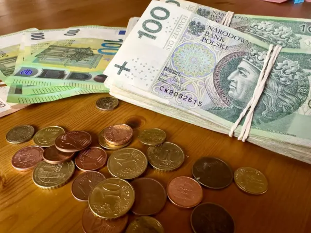 100 zlotys és 100 eurós bankjegyek és aprópénz.