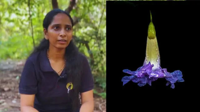 किरण थुम्मा