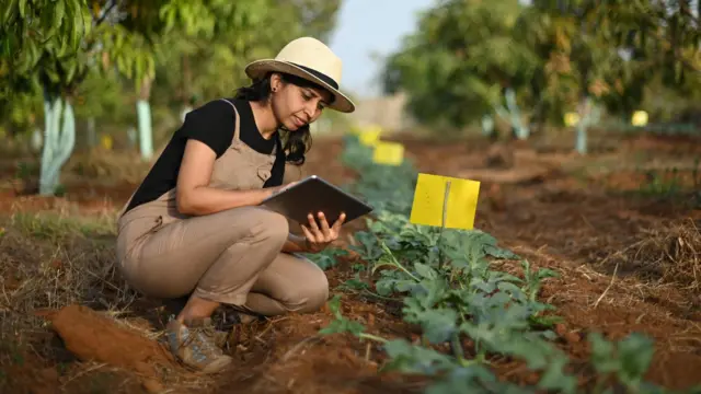 பிஹெச்.டி அளவுக்கு படித்தாலும் இந்திய அறிவியல் துறைகளில் பெண்கள் நுழைவதை தடுப்பது எது?