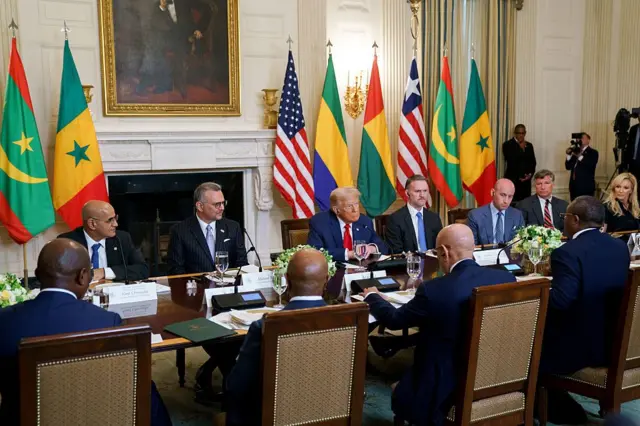 Na di lunch wit Trump and African leaders be dis