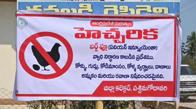 కోళ్ల ఫారం, పౌల్టీ ఫామ్, చికెన్, ఎగ్స్, గుడ్లు బర్డ్ ఫ్లూ, హెచ్ వన్ ఎన్ వన్ ఇన్‌ఫ్లూయంజా, తూర్పు గోదావరి, పశ్చిమ గోదావరి, కృష్ణా జిల్లా