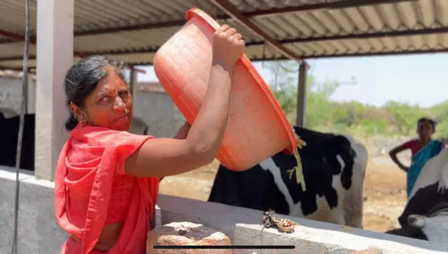  सुनिता जगदाळे 