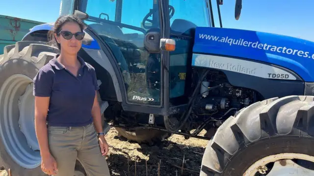 İSPANYA AYÇİÇEĞİ 