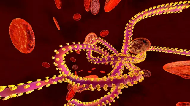 Imagem em 3D do vírus do Ebola. 