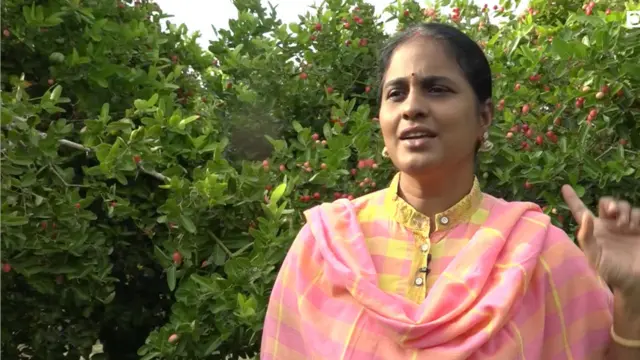 వాక్కాయ