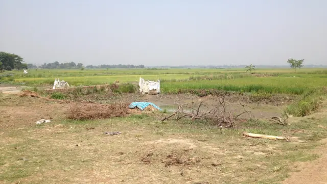 নেলির সেই বধ্যভূমি, যেখানে একবেলার মধ্যেই প্রায় আড়াই হাজার মুসলমানকে হত্যা করা হয় ১৯৮৩ সালে ১৮ ফেব্রুয়ারি