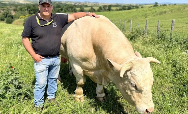 کلاڈیو لاٹیری