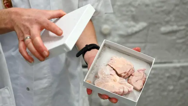 மனித மூளை ஆராய்ச்சி