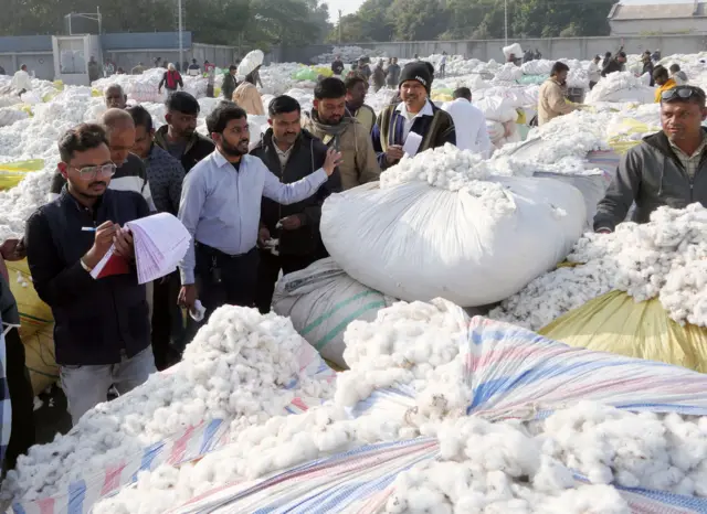 કપાસના ખેડૂતો, કપાસનું ઉત્પાદન, કપાસના ભાવ, આંતરરાષ્ટ્રીય બજાર, કપાસની ગાંસડી, કપાસનો ભાવ કેવી રીતે નક્કી થાય, કપાસમાં કેન્ડી એટલે શું, કપાસના ટેકાના ભાવ, બીબીસી ગુજરાતી, બીબીસી ન્યૂઝ ગુજરાતી 