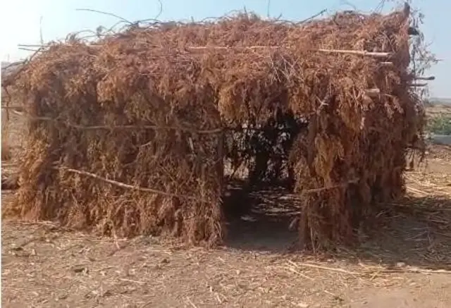 પ્રિયંકા બેળુંખે