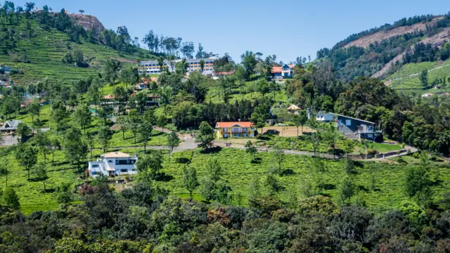 நீலகிரி 