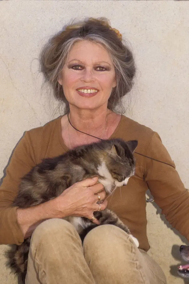 Brigitte Bardot fotografada em 1991, sentada e segurando um gato no colo, enquanto estende a m�o livre para acariciar outro animal, fora do enquadramento.