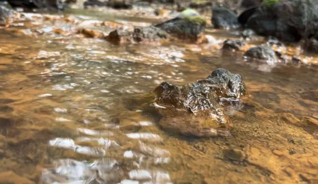 దామగుండం అటవీప్రాంతంలో నీటి ప్రవాహం