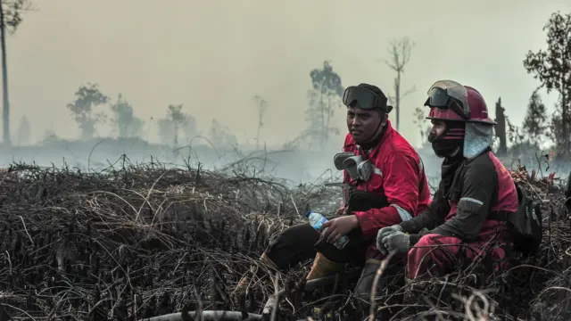 Petugas Manggala Agni Daops Sumatera XI Bukit Tempurung beristirahat di sela-sela pemadaman kebakaran lahan di perbatasan Muaro Jambi dengan Tanjung Jabung Timur, Rantau Panjang, Muaro Jambi, Jambi, Senin (2/9/2024). 