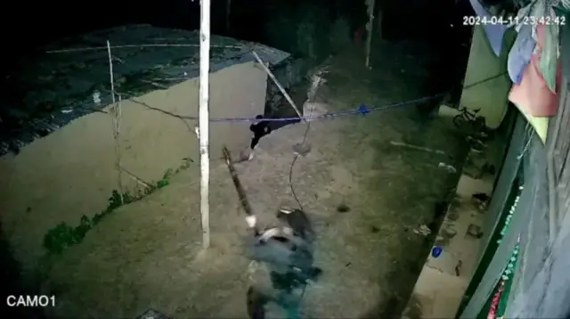 مارچ کے وسط میں، دل بہادر تمانگ کے گھر کے سامنے لگائے گئے بودھی چتا کے درخت کو نامعلوم مسلح افراد نے کاٹ دیا