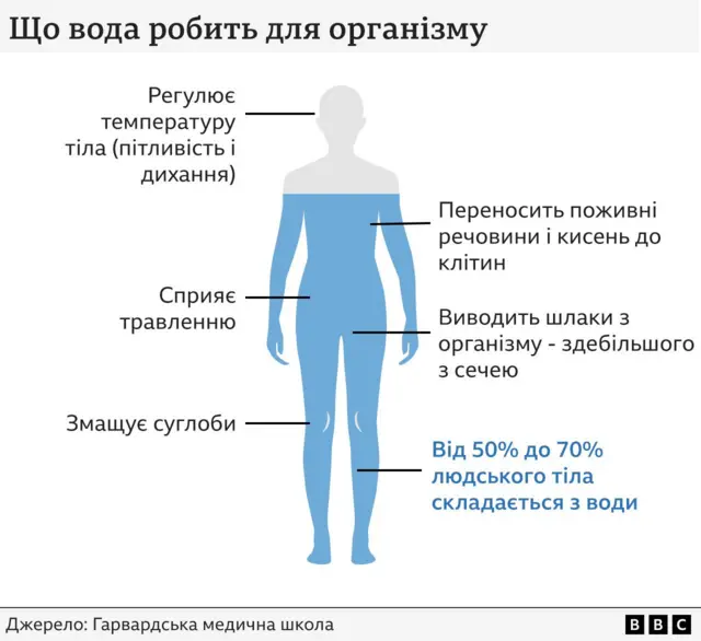 Що вода робить для організму