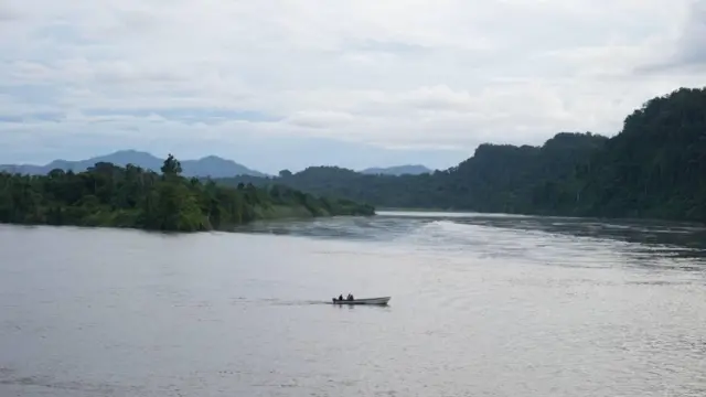 Perahu mesin atau perahu kayu menjadi transportasi utama dari satu kampung ke kampung lain di Mamberamo Raya yang melewati sungai terpanjang di Papua. 
