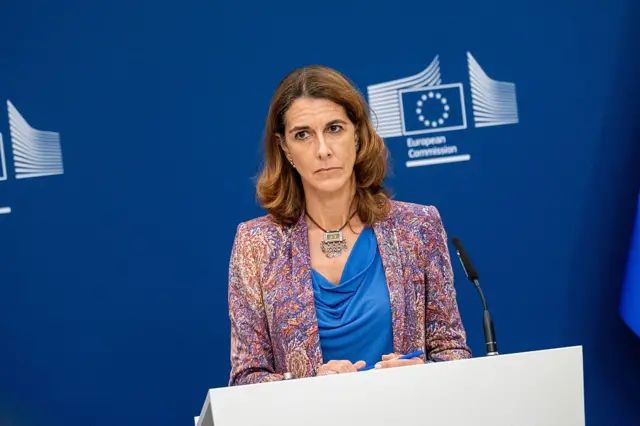 AB Komisyonu Sözcüsü Paula Pinho kürsüde açıklama yaparken 