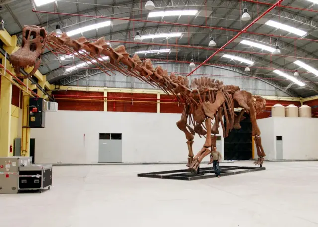 Le squelette d'un dinosaure