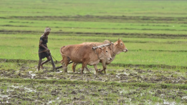 కాంగ్రెస్ ప్రభుత్వం ‘ధరణి’ స్థానంలో ‘భూ భారతి’ తీసుకువచ్చింది
