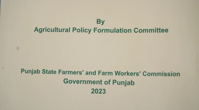 ਖੇਤੀਬਾੜੀ