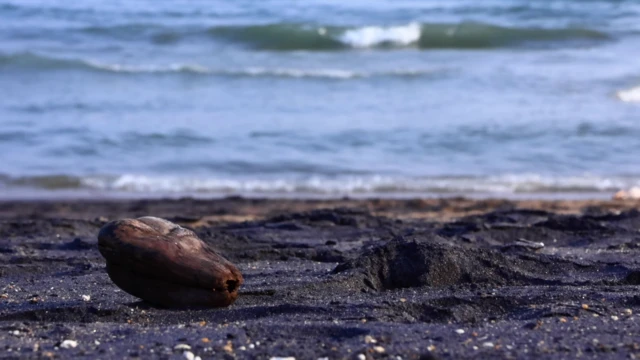 విశాఖ బీచ్