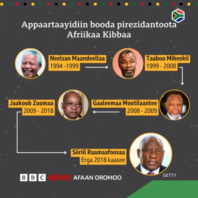 Gaggeesitoota Afrikaa Kibbaa bulchaa turan