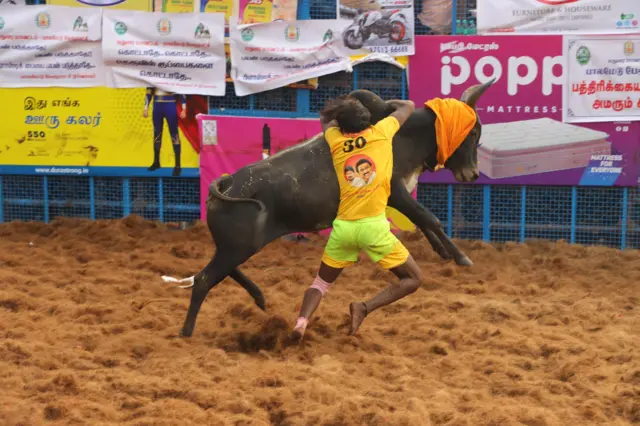 ஏறு தழுவுதலின் வரலாறு