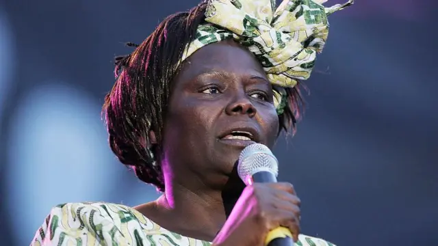 वंगारी मथाई 