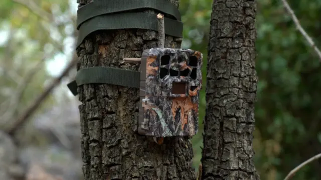 తిరుపతి