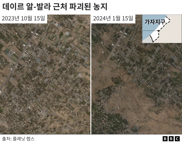 파괴된 농지의 위성 사진(2023년 10월 15일, 2024년 1월 15일 비교)