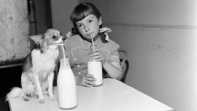 Siyah beyaz bir fotoğrafta pipet ile şişeden süt için bir kız çocuğu ve bir köpek