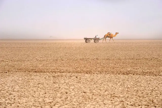 ગુજરાતની 'કુંવારી' નદીઓ, નર્મદા, સરસ્વતી, રૂપેણ, કચ્છ, બીબીસી ગુજરાતી