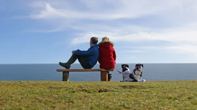 Casalsorte esportiva netbanco observando o mar, ao ladosorte esportiva netdois cachorros