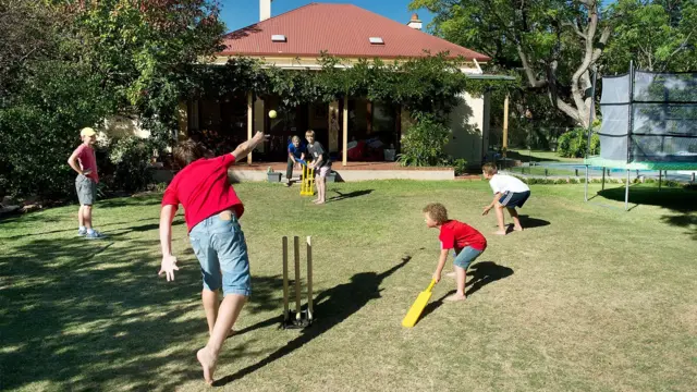 Playing cricket