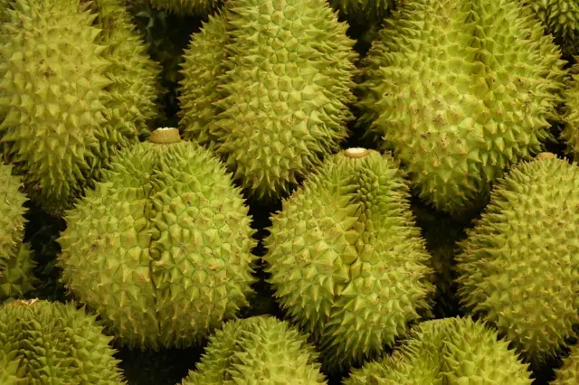 Tappanai Boonbandit/BBC thai