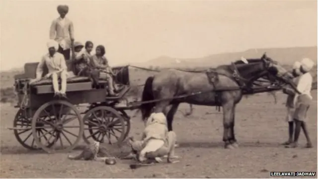 گھوڑے گاڑی پر