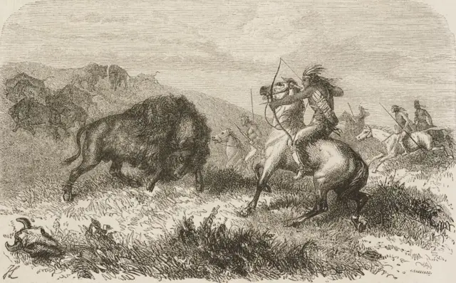 ભેંસની ખોપડીઓનો પહાડ, હાડપિંજર, બાઇસન, અમેરિકા, બીબીસી ગુજરાતી