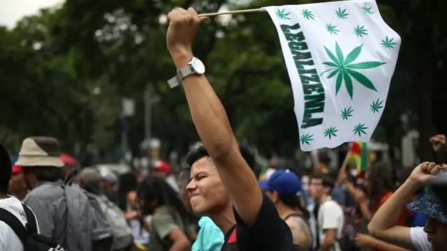 गांजे को क़ानूनी मान्यता देने का समर्थन करने वाले