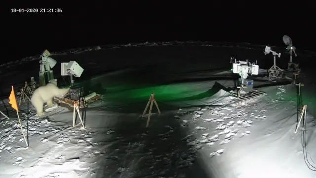 A polar bear is checking on the equipment's placed by the scientists