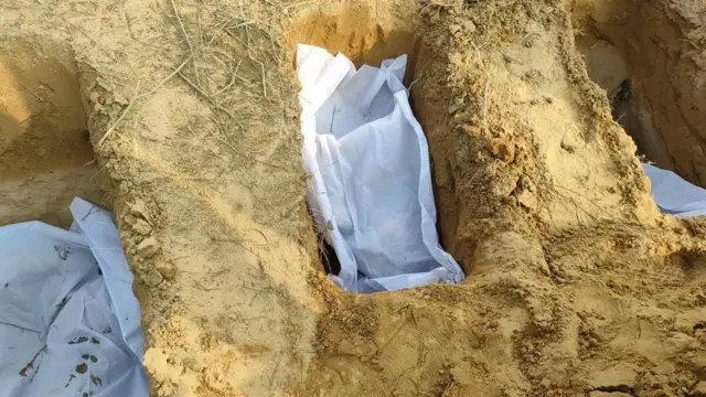 हिरणों की हत्या