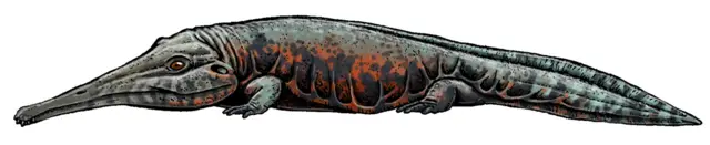 Prionosuchus plummeri