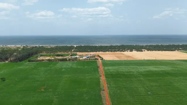 కరేడు, పొలాలు