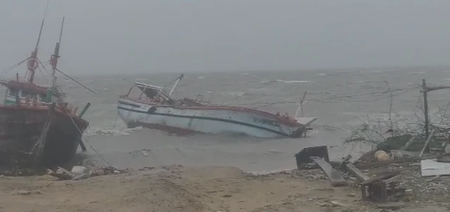 બોટની તસવીર