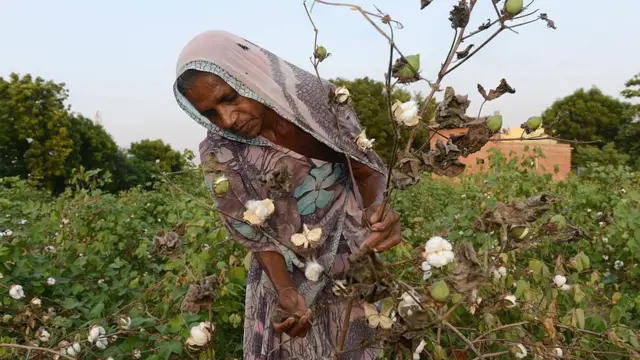 ખેડૂત બહેન