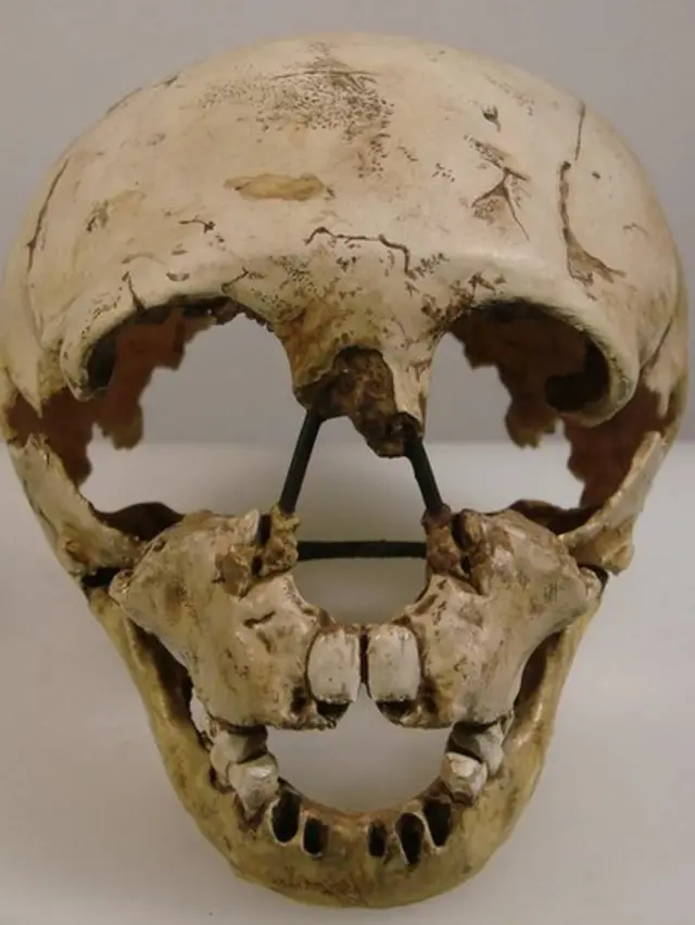 Cráneo de un joven neandertal