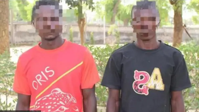 Aworan Afurasi Odaran