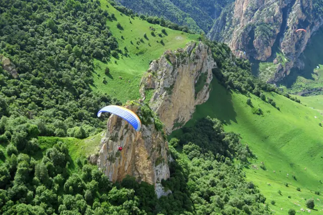 "С высоты птичьего полета"